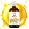 St. John's Wort Oil Hypericum Organic 100 ml