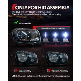 Torchbeam 9006 Fog Bulbs Cambo 32000LM Brightness With Extra Wide View, Canbus Ready 6500K 9006 Fog Lamps 50000+ Hours Wireless,3-MIN Plug-N-Play, Pack of 2
