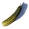 Squash Seeds - Summer - Vegetable Marrow Green Bush -