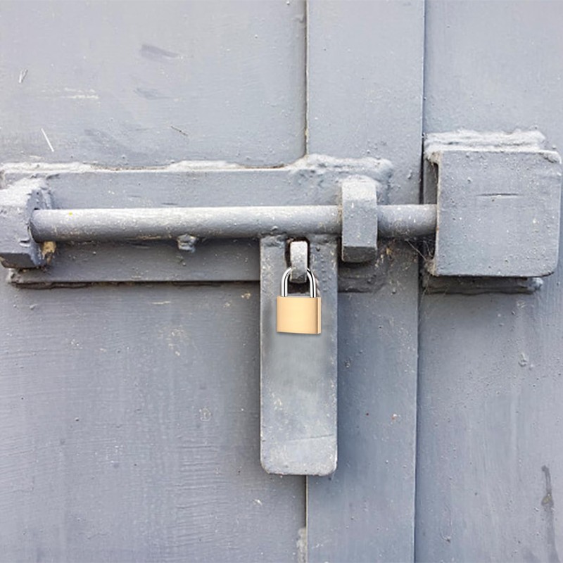 6 Pieces Mini Padlocks with 6 Pieces Coloured Key Plate,