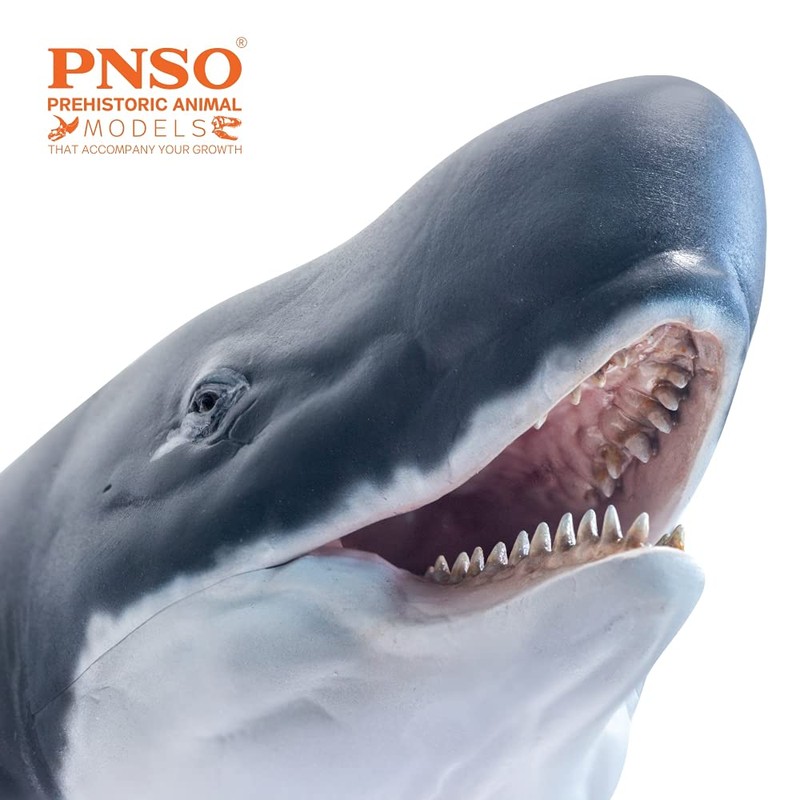 PNSO Modelos de animales prehistóricos: 56Requena The Livyatan