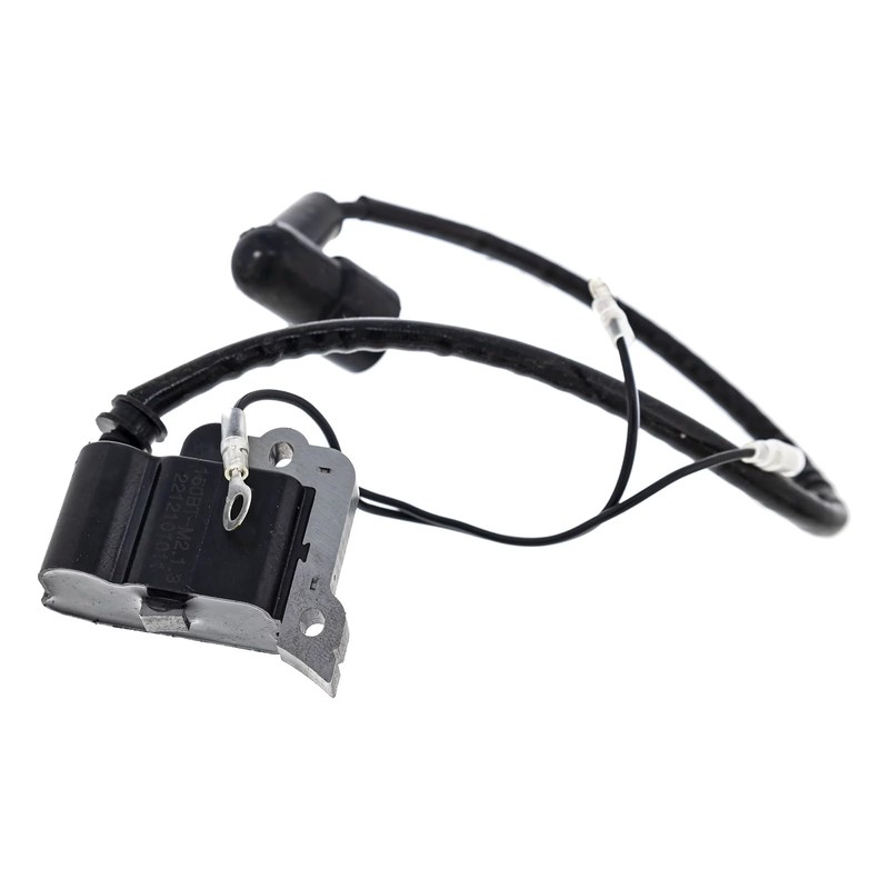 IGCLINIC 531147161 Ignition coil with Spark Plug for 150BT(2022-present), 150BT-Mark