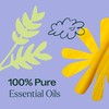 Plant Therapy Worry Free Essential Oil Blend 10 mL (1/3