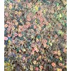 3mm Round AB Translucent Metallic Opaque Craft Sequins Assorted Colours
