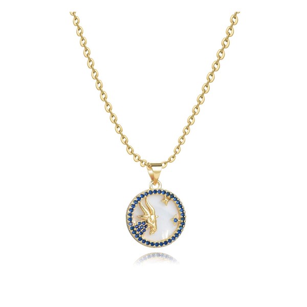 SBI Jewelry Capricorn Gold Birthday Zodiac Necklaces for Women Cubic