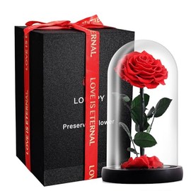 Forever Roses, Beauty and The Beast Rose en cúpula de vidrio, rosa eterna preservada para siempre, rosas preservadas para Regalo, regalos para mamá, esposa (rojo, 9.1 pulgadas), FR-001