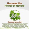 Go Nutra Bacopa Extract Powder (Bacopa Monnieri) 50% Bacosides -