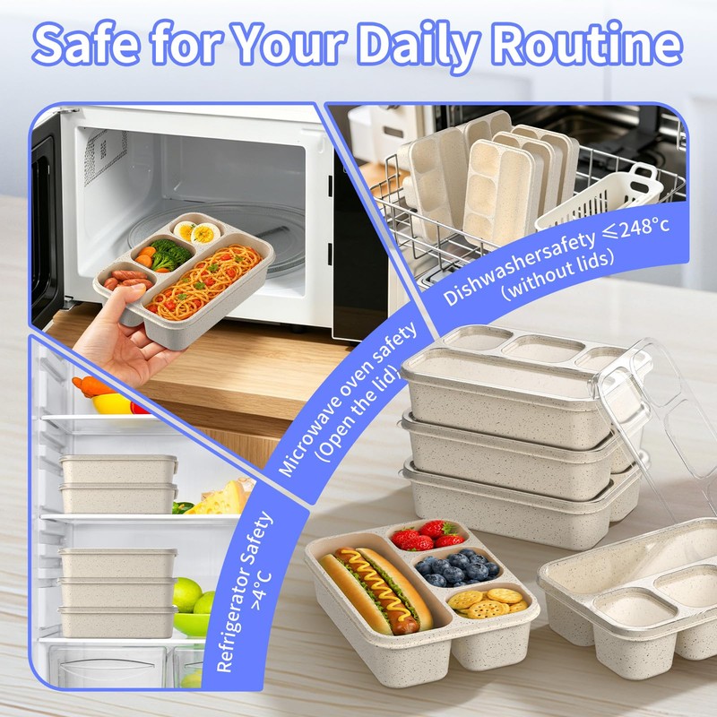 Bento Box 5-Pack, 4-Compartment Lunch Box for Women, Men &