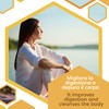 ERBOTECH Curcuma Organic Capsules, 200 g Pack, Approx. 280 Capsules,