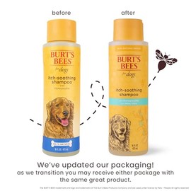Burts Bee Itch Soothing Shampoo, 16-Ounce