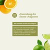 Dresdner Essenz Sauna Infusion Ice Lime 250 ml Fresh Citrus