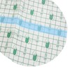5 Sets Women Waterproof Private Patches Prevent Dirts Skin Friendly