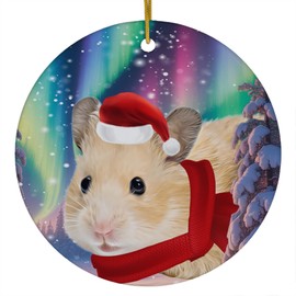 Funny Golden Hamster Christmas Ornament 2025 Ceramic Circle White - Festive Winter Northern Lights Holiday Xmas Tree Hanging Decoration Gifts for Hamster Lovers
