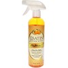SATIN SMOOTH ReMove-It Wax Cleaner and Remover, Non-Toxic Residue Removal, Pre-Wax Cleanser, Safe for Warmers and Surfaces, 16 fl oz, 1-Pack
