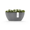Sofia Flower Pot Collection - Designer Planter for Small Spaces