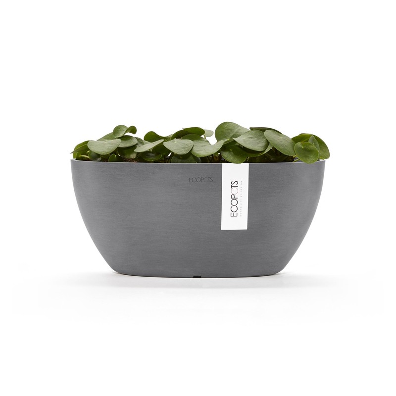 Sofia Flower Pot Collection - Designer Planter for Small Spaces