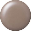 KOKOIST Color Gel E-249S 0.1 oz (2.5 g) Hazelnut Concealer,