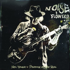 Noise and Flowers (Vinyl)