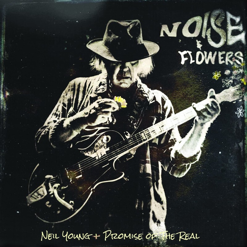 Noise and Flowers (Vinyl)