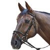 Waldhausen Star Bridle Basic Warmblood Black