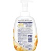 Dove Beauty Moisture Osmanthus Foaming Body Soap, 19.3 oz (540