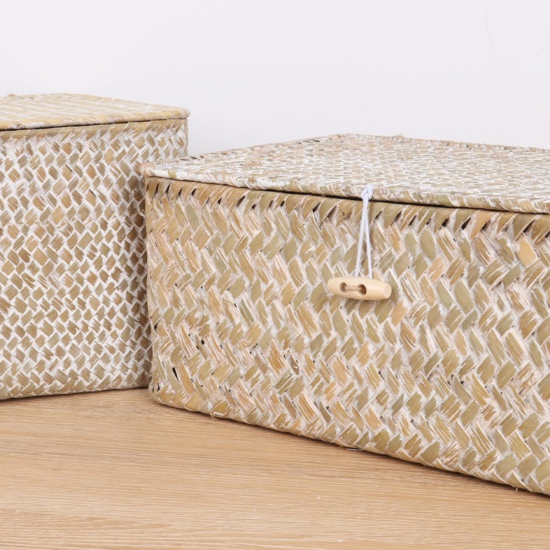 FEIALNDUO Wicker Shelf Baskets with Lid,Seagrass Storage Basket Bins Rectangular