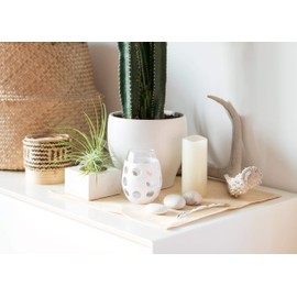 Lifefactory Wine Glass with Protective Silicone Sleeve, 4 Count (Pack of 1), White