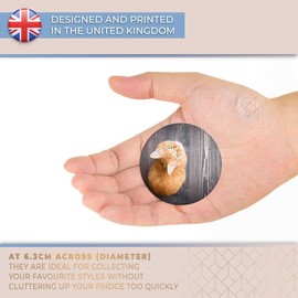 Destination Vinyl ltd Magnet for Refrigerator, Fridge - Cute Ginger Kitten Cat Cats for Office, Cabinet and Whiteboard, Magnetic Stickers, 8925