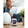 Horbäach Lavender Vanilla Fragrance Oil | 1 fl oz (30ml)