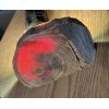 Ponderosa Pine 1 lb bushcraft survival Solid Resin Core Safe