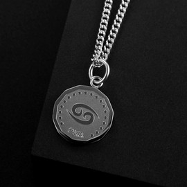 HIJONES Men's Stainless Steel Round Coin Constellation Necklace Zodiac Sign Pendant with Chain, Metal, Metal