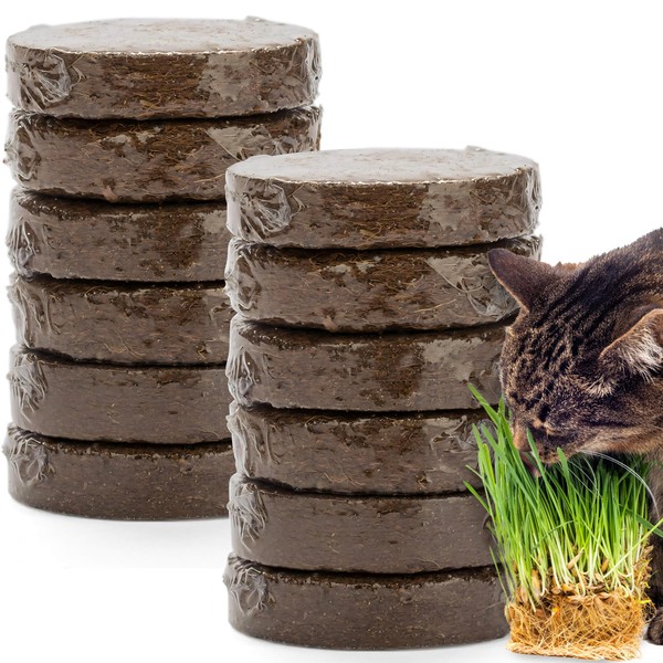 The Cat Ladies Potting Soil for Indoor/Outdoor Plants, Expands to