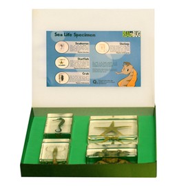 REALBUG Sea Life Specimen 4pc Set