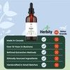 Herbity Herbity Burdock Root Tincture C Alcohol-Free Herbal Extract for