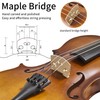 FDT&ENJOY Violin for Beginners Adults,3/4 Violin Full Size Acoustic Violins,