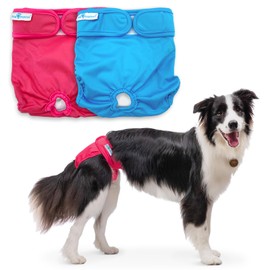Paw Inspired Washable Dog Diapers (2 Pack) | Reusable Cloth Doggy Diapers for Female Small, Medium, Large Size Dogs (Pink and Blue Colors with White Lining, Size Large)