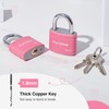 Puroma 2 Pack Keyed Padlock with 3 Keys Alike, 1.1
