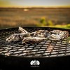 Toadfish Coastal Kitchen Collection - Includes Crab Cracker, Shrimp Deveiner,
