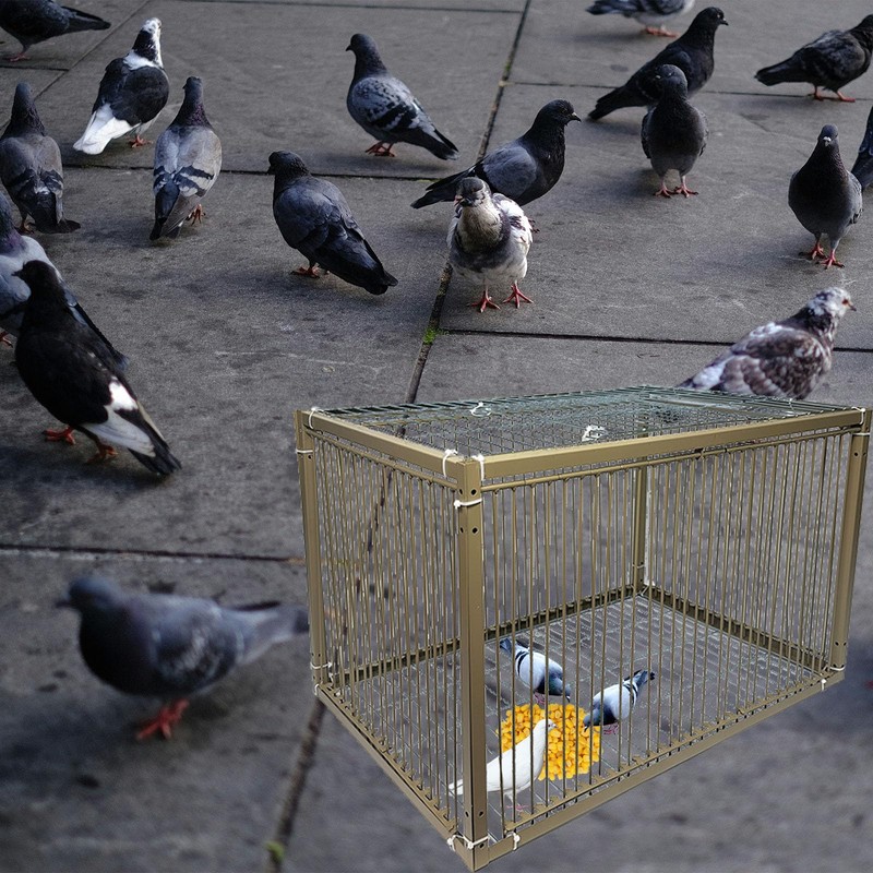 15" H Chicken Pigeon Trap Cage Birdcage Small Animal Trap
