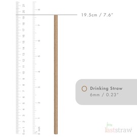 the Last Straw - 100% Biodegradable Paper Drinking Straws (100 Pack)(Plain - Black)