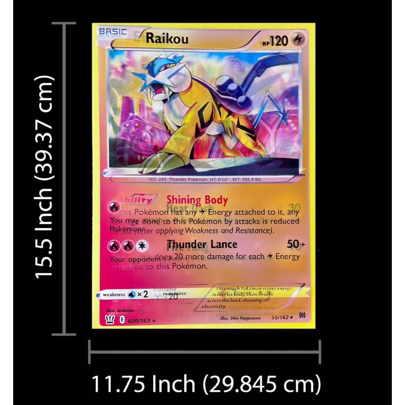 Unbranded Pokémon-Raikou