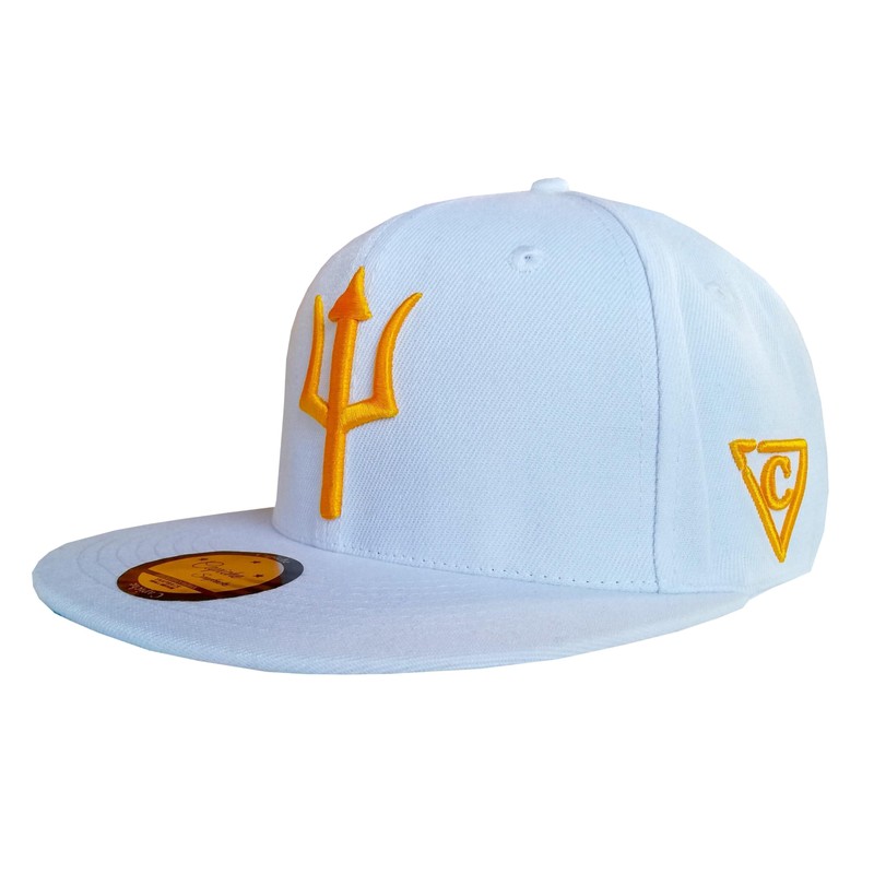 Capiche [99+ VARIACIONES] Gorra Snapback Nueva Colección Special Series Gris