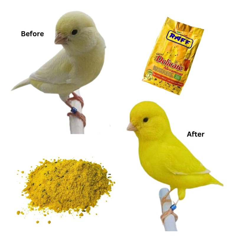 Valpet - Raff Raff Delicate Allevamento with Egg and Honey