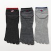 Champion CMSCX301 Socks (3 Pairs) Antibacterial Deodorization Non-Pile, 5 Toe