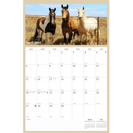 2025 Wall Calendar Spiral-bound Twin-Wire Binding - 12 Months Planner 11" x 17" - Large Ruled Blocks with Julian Dates - (Horses)