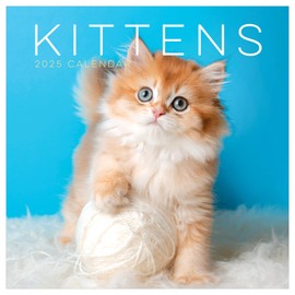 TF PUBLISHING 2025 Kittens Wall Calendar | Large Grids for Appointments and Scheduling | Vertical Monthly Wall Calendar 2025 | Home and Office Organization | Premium Gloss Paper | 12"x12"