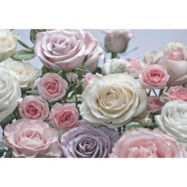 Komar 8-736 Floraison 8-Panel Wall Mural
