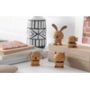 Hoptimist Animal, Frog, Wooden Decoration, Bobble Figure & Lucky Charm