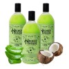 3 Set Acondicionador Hechizo Verde Coco Sábila Colageno Kit