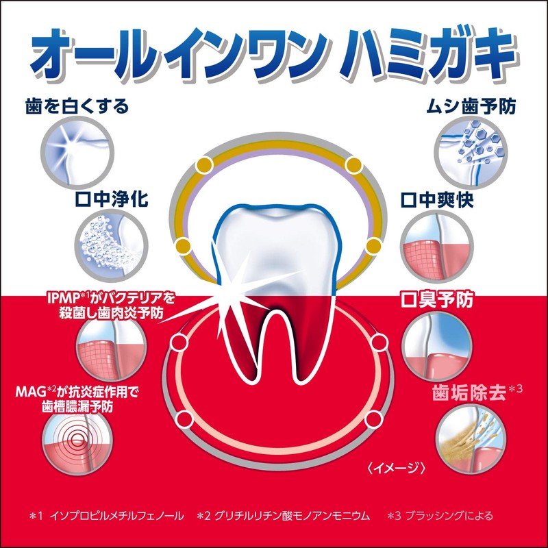 Kamtec Complete Care EX Toothpaste, Periodontal Disease (Gingivitis and Pyorrhea),